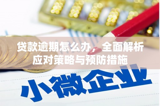 新会贷款逾期怎么办，全面解析应对策略与预防措施