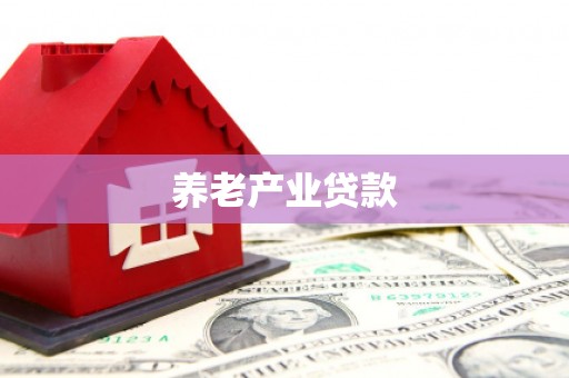 龙湾养老产业贷款
