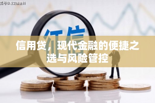 梅山信用贷，现代金融的便捷之选与风险管控