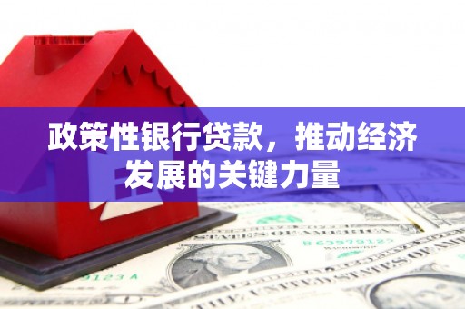 北流政策性银行贷款，推动经济发展的关键力量