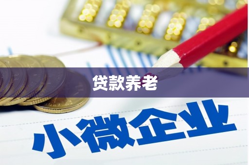 崇左贷款养老