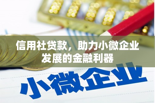 台西信用社贷款，助力小微企业发展的金融利器