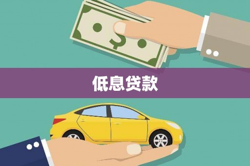 罗城低息贷款