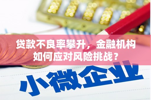涞水贷款不良率攀升，金融机构如何应对风险挑战？