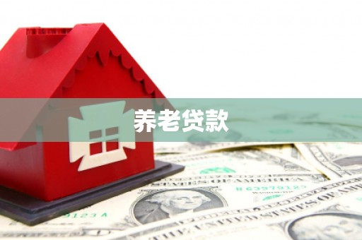 西和养老贷款