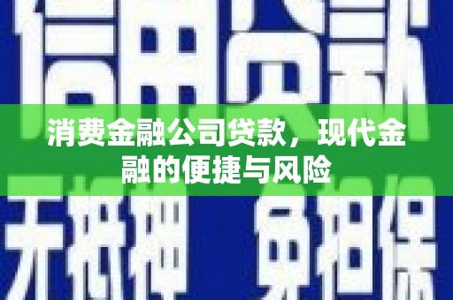荔湾消费金融公司贷款，现代金融的便捷与风险