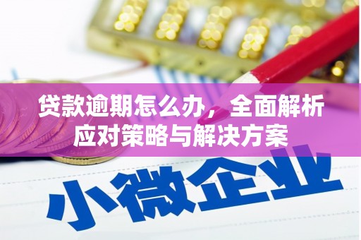 文登贷款逾期怎么办，全面解析应对策略与解决方案