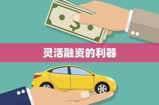 皇姑灵活融资的利器