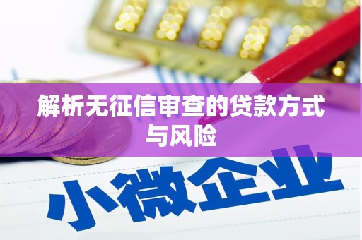 和布克赛尔解析无征信审查的贷款方式与风险