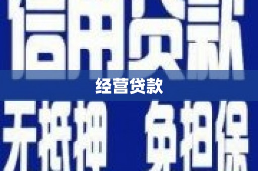 德安经营贷款