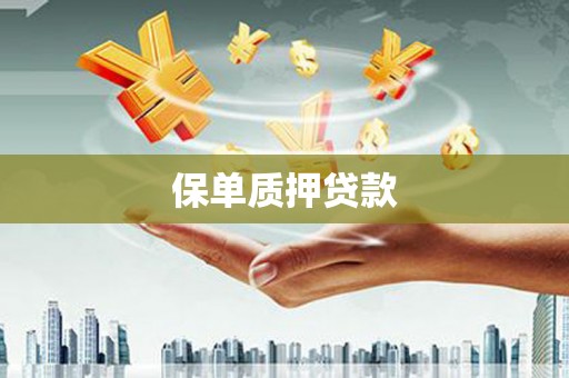 长葛保单质押贷款