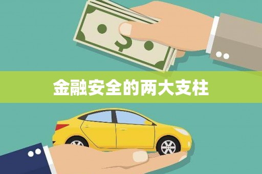 海盐金融安全的两大支柱