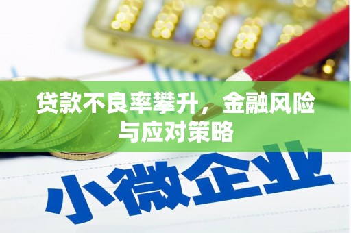 江海贷款不良率攀升，金融风险与应对策略